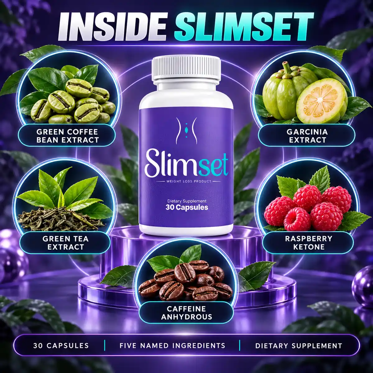 The seller's ingredients-inside graphic for SlimSet