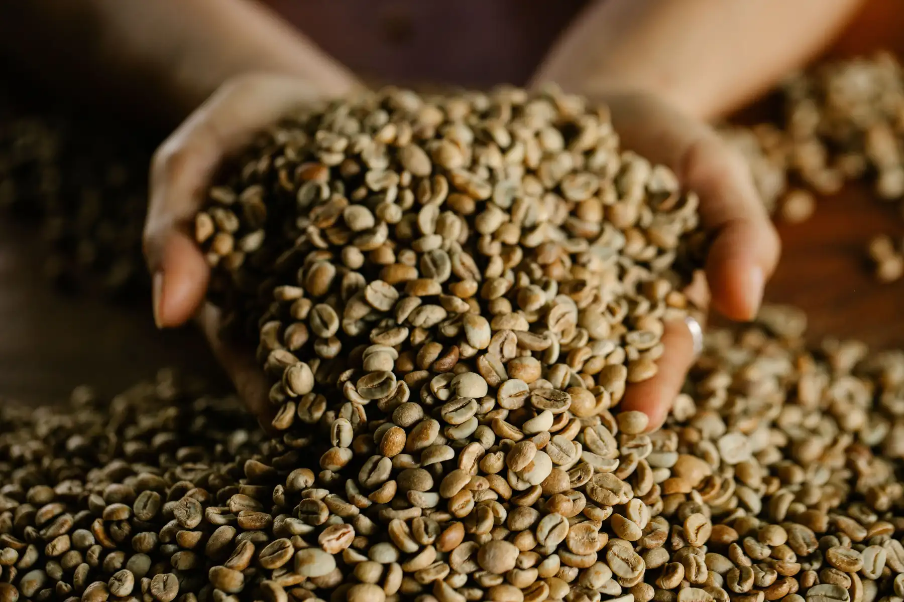 Green coffee beans, the source of the chlorogenic acid row
